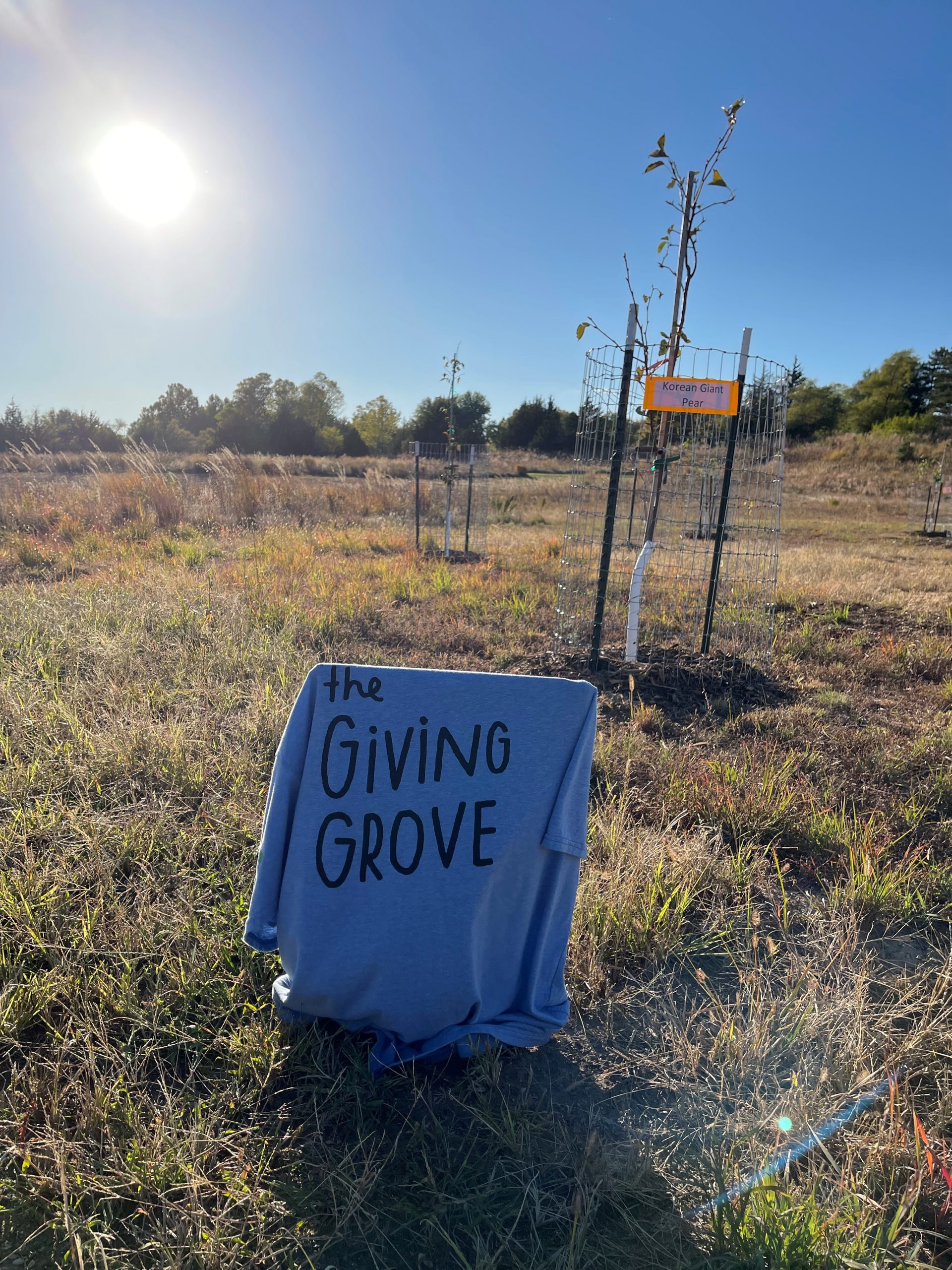 the Giving Grove sign